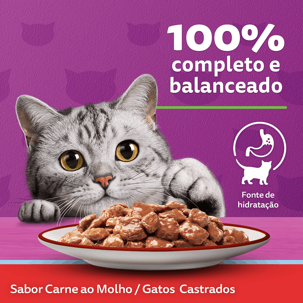 Whiskas® Sachê Carne ao Molho para Gatos Adultos 85 g - Imagem 4